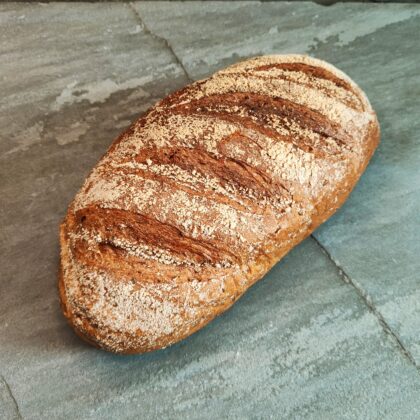 Multiseed Bloomer